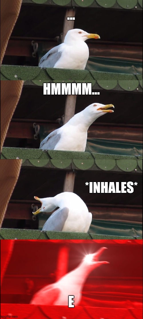 Inhaling Seagull | ... HMMMM... *INHALES*; E | image tagged in memes,inhaling seagull | made w/ Imgflip meme maker