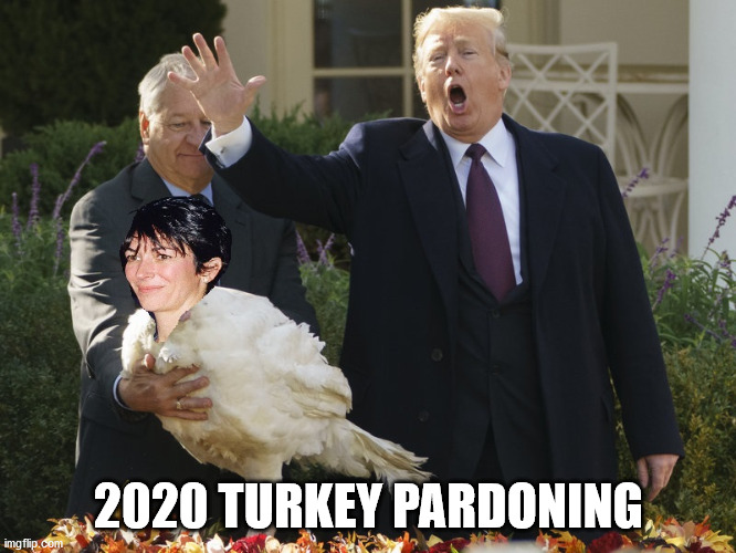 Pardon me, is that a turkey? | 2020 TURKEY PARDONING | image tagged in thanksgiving,turkey,pardon | made w/ Imgflip meme maker