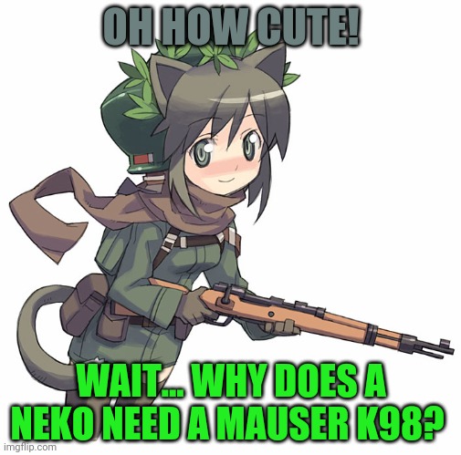 Anime Girls With Guns Meme : I Like Cute Anime Girls With Guns One Of.