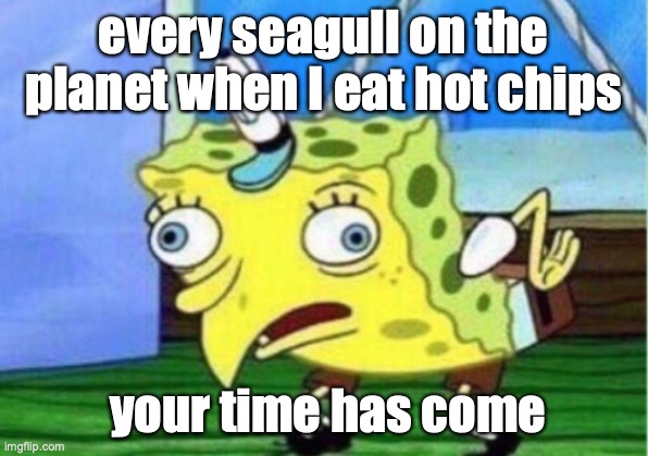 Mocking Spongebob | every seagull on the planet when I eat hot chips; your time has come | image tagged in memes,mocking spongebob | made w/ Imgflip meme maker