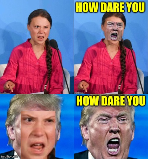 HOW DARE YOU; HOW DARE YOU | image tagged in greta thunberg how dare you,face swap,election 2020,climate change | made w/ Imgflip meme maker