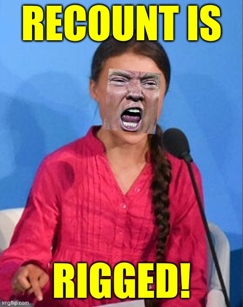 greta donald thunberg trump how dare you | RECOUNT IS; RIGGED! | image tagged in greta donald thunberg trump how dare you,recount,election 2020,trump lost,rigged elections,triggered | made w/ Imgflip meme maker