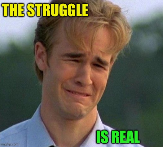 1990s First World Problems Meme | THE STRUGGLE IS REAL | image tagged in memes,1990s first world problems | made w/ Imgflip meme maker