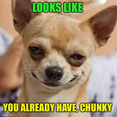 Smirking Dog | LOOKS LIKE YOU ALREADY HAVE, CHUNKY | image tagged in smirking dog | made w/ Imgflip meme maker