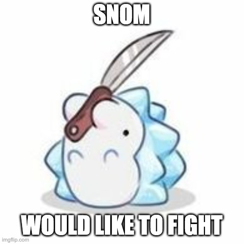 Snom has knife | SNOM WOULD LIKE TO FIGHT | image tagged in snom has knife | made w/ Imgflip meme maker