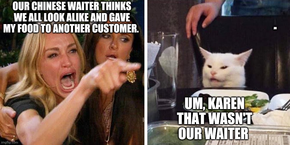 Smudge the cat | OUR CHINESE WAITER THINKS WE ALL LOOK ALIKE AND GAVE MY FOOD TO ANOTHER CUSTOMER. JM; UM, KAREN THAT WASN'T OUR WAITER | image tagged in smudge the cat | made w/ Imgflip meme maker