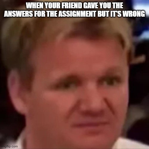 WHEN YOUR FRIEND GAVE YOU THE ANSWERS FOR THE ASSIGNMENT BUT IT'S WRONG | image tagged in chef gordon ramsay,sosig | made w/ Imgflip meme maker