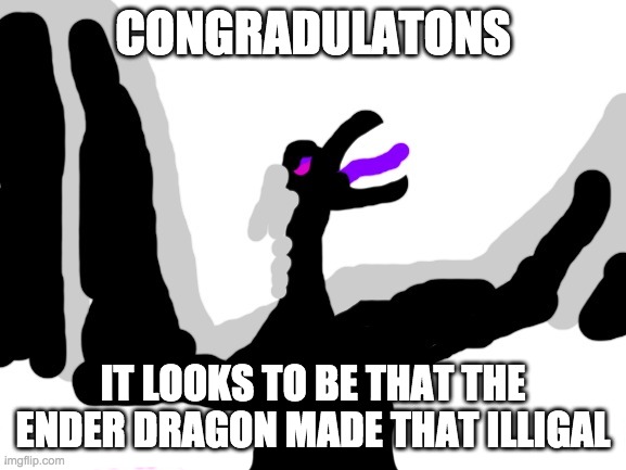 Confused Jean | CONGRADULATONS IT LOOKS TO BE THAT THE ENDER DRAGON MADE THAT ILLIGAL | image tagged in confused jean | made w/ Imgflip meme maker