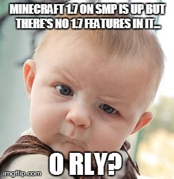 Skeptical Baby Meme | MINECRAFT 1.7 ON SMP IS UP BUT THERE'S NO 1.7 FEATURES IN IT... O RLY? | image tagged in memes,skeptical baby | made w/ Imgflip meme maker