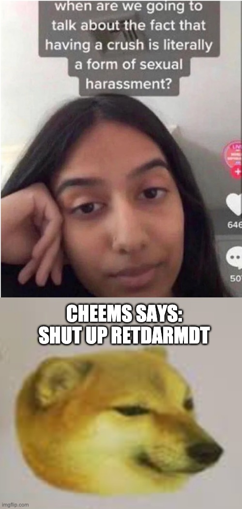 CHEEMS SAYS:
SHUT UP RETDARMDT | made w/ Imgflip meme maker