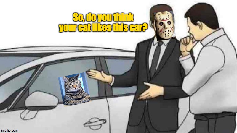 Hard sell | So, do you think your cat likes this car? | image tagged in memes,car salesman slaps roof of car,cats,jason,voohees,six | made w/ Imgflip meme maker