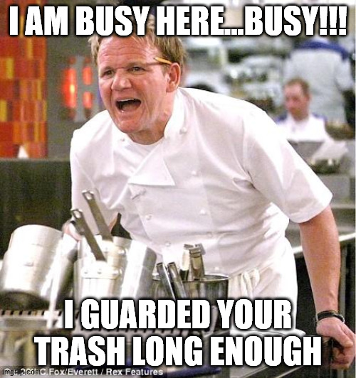 Chef Gordon Ramsay Meme | I AM BUSY HERE...BUSY!!! I GUARDED YOUR TRASH LONG ENOUGH | image tagged in memes,chef gordon ramsay | made w/ Imgflip meme maker