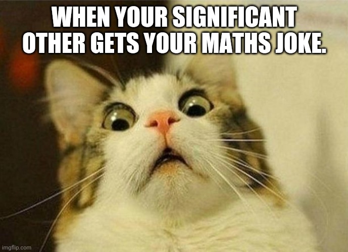 WHEN YOUR SIGNIFICANT OTHER GETS YOUR MATHS JOKE. | made w/ Imgflip meme maker