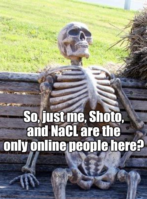 . | So, just me, Shoto, and NaCL are the only online people here? | image tagged in memes,waiting skeleton | made w/ Imgflip meme maker