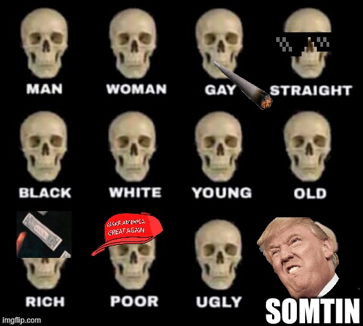 Has been there done that | SOMTIN | image tagged in idiot skull,funny,funny memes,memes,meme,donald trump | made w/ Imgflip meme maker