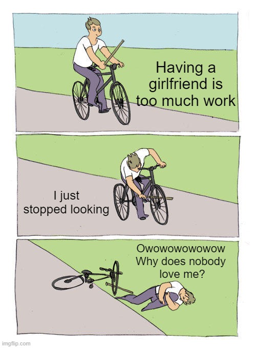 May or may not be based on actual events | Having a girlfriend is too much work; I just stopped looking; Owowowowowow
Why does nobody
 love me? | image tagged in memes,bike fall,girlfriend,nobody loves me,stop looking | made w/ Imgflip meme maker