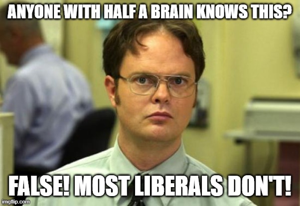 Dwight Schrute Meme | ANYONE WITH HALF A BRAIN KNOWS THIS? FALSE! MOST LIBERALS DON'T! | image tagged in memes,dwight schrute | made w/ Imgflip meme maker