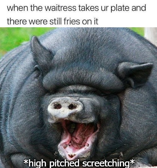 *high pitched screetching* | image tagged in pig | made w/ Imgflip meme maker