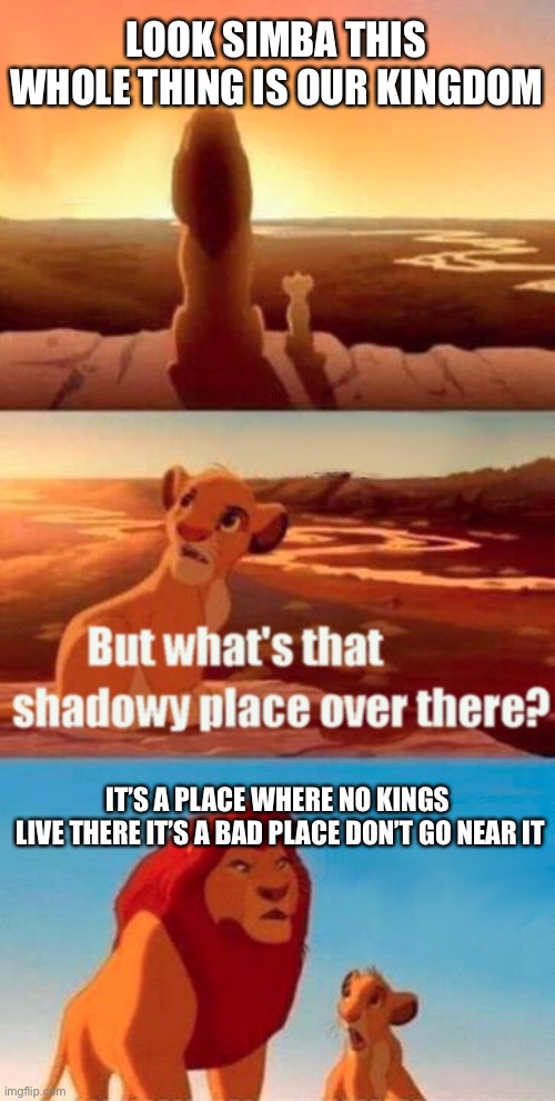 Simba Shadowy Place Meme | LOOK SIMBA THIS WHOLE THING IS OUR KINGDOM; IT’S A PLACE WHERE NO KINGS 
LIVE THERE IT’S A BAD PLACE DON’T GO NEAR IT | image tagged in memes,simba shadowy place | made w/ Imgflip meme maker