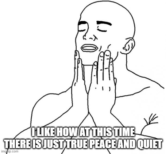 Feels Good Man | I LIKE HOW AT THIS TIME THERE IS JUST TRUE PEACE AND QUIET | image tagged in feels good man | made w/ Imgflip meme maker