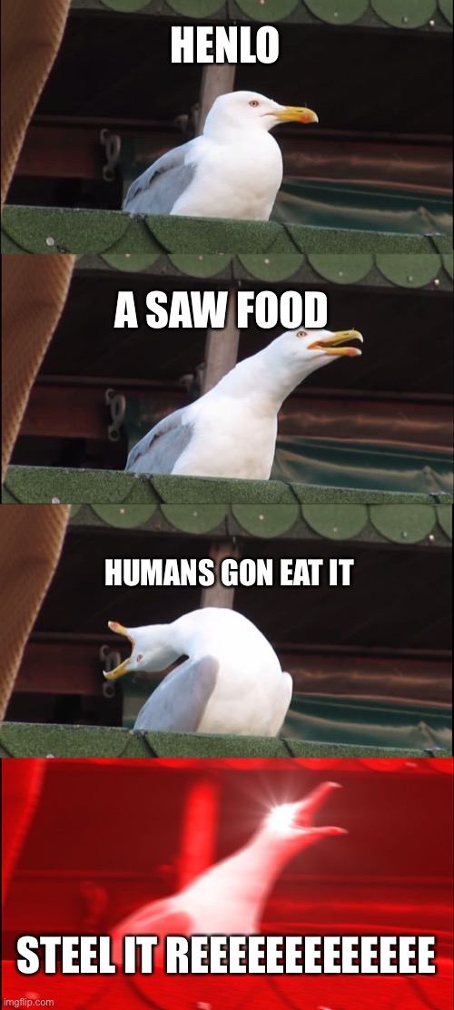 Inhaling Seagull Meme | HENLO; A SAW FOOD; HUMANS GON EAT IT; STEEL IT REEEEEEEEEEEEE | image tagged in memes,inhaling seagull | made w/ Imgflip meme maker