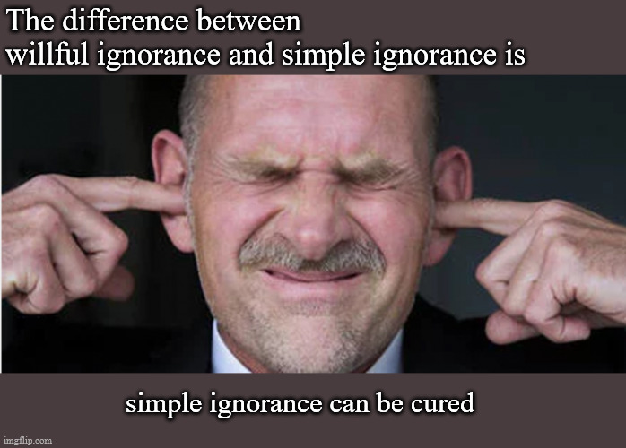 ignorance is bliss | The difference between 
willful ignorance and simple ignorance is; simple ignorance can be cured | image tagged in politics | made w/ Imgflip meme maker