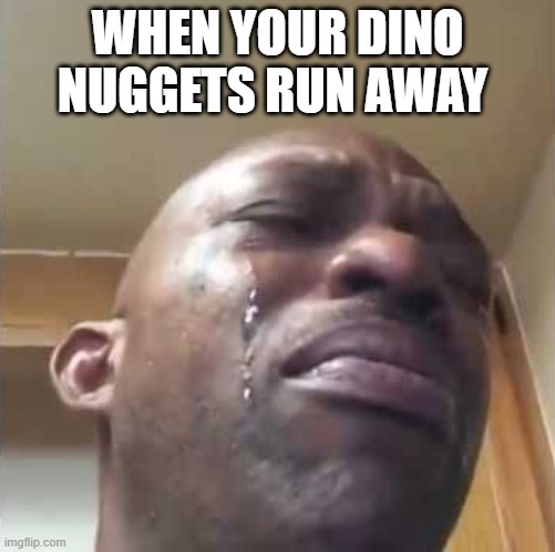 dino nuggets running awaqy | WHEN YOUR DINO NUGGETS RUN AWAY | image tagged in crying guy meme | made w/ Imgflip meme maker