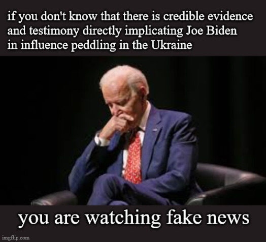 influence peddling and the fake news | image tagged in politics | made w/ Imgflip meme maker