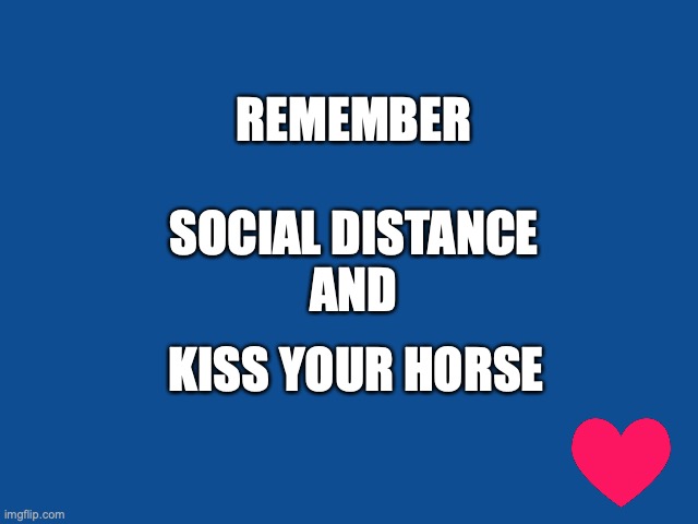 Kiss your horse | REMEMBER
 
SOCIAL DISTANCE
AND; KISS YOUR HORSE | image tagged in slate blue solid color background,horse,social distance | made w/ Imgflip meme maker