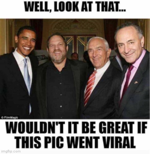 Wouldn't it Be Great If This Pic Went Viral? | image tagged in libtards,harvey weinstein,pedophilia,democrats,chuck schumer | made w/ Imgflip meme maker
