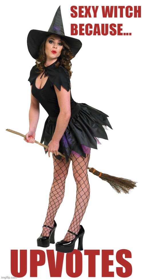I missed Halloween but it's never too late to pander | image tagged in memes,sexy witch,halloween,costume | made w/ Imgflip meme maker