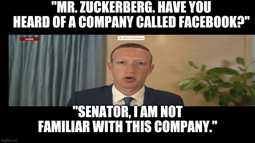 I am not familiar with anything to do with my company | "MR. ZUCKERBERG. HAVE YOU HEARD OF A COMPANY CALLED FACEBOOK?"; "SENATOR, I AM NOT FAMILIAR WITH THIS COMPANY." | image tagged in expose the lies,censorship equals fascism,freedom of speech platforms censoring users | made w/ Imgflip meme maker