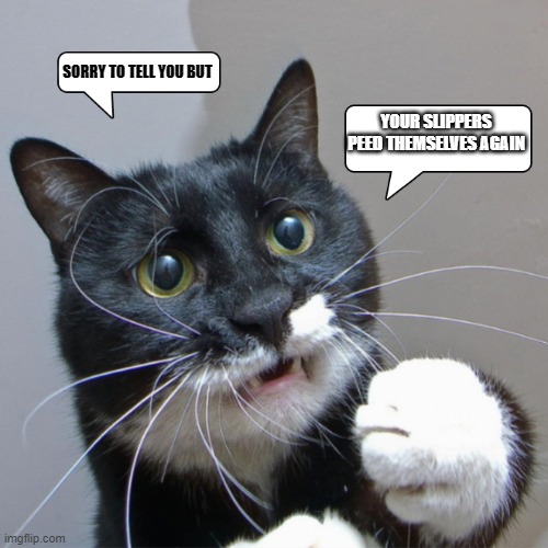 SORRY TO TELL YOU BUT; YOUR SLIPPERS PEED THEMSELVES AGAIN | made w/ Imgflip meme maker