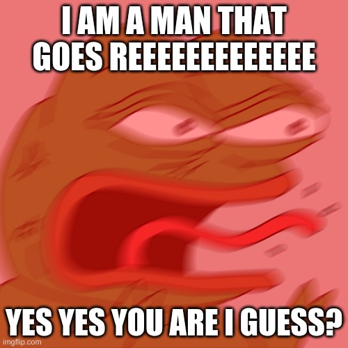 MEMELAND | I AM A MAN THAT GOES REEEEEEEEEEEEE; YES YES YOU ARE I GUESS? | image tagged in rage pepe | made w/ Imgflip meme maker