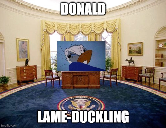 Oval Office | DONALD; LAME-DUCKLING | image tagged in oval office | made w/ Imgflip meme maker