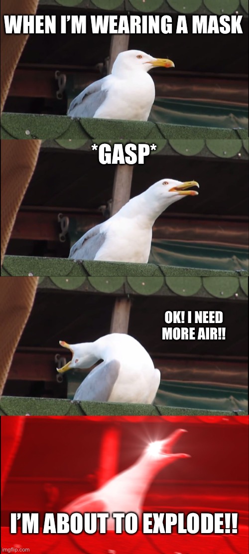 Inhaling Seagull Meme | WHEN I’M WEARING A MASK; *GASP*; OK! I NEED MORE AIR!! I’M ABOUT TO EXPLODE!! | image tagged in memes,inhaling seagull | made w/ Imgflip meme maker