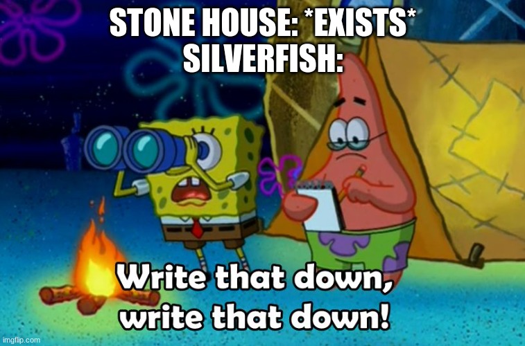l o l | STONE HOUSE: *EXISTS*
SILVERFISH: | image tagged in write that down,silverfish,minecraft,l o l | made w/ Imgflip meme maker