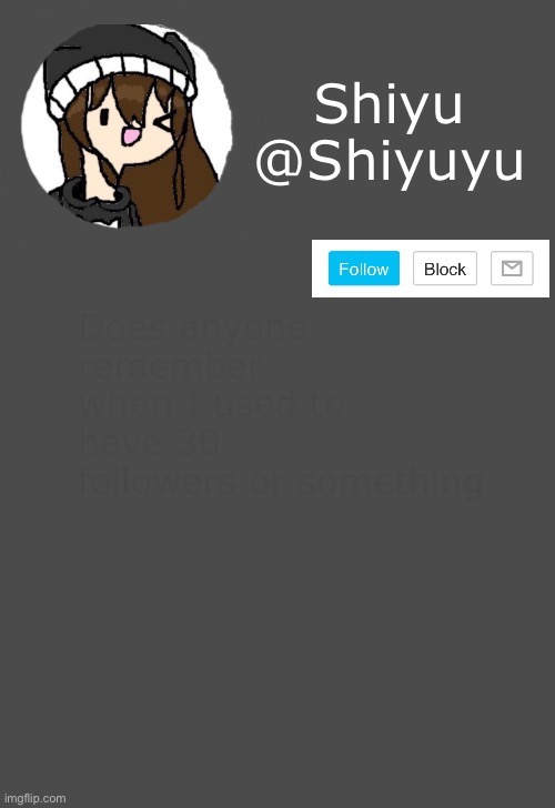 E | Does anyone remember when I used to have 30 followers or something | made w/ Imgflip meme maker