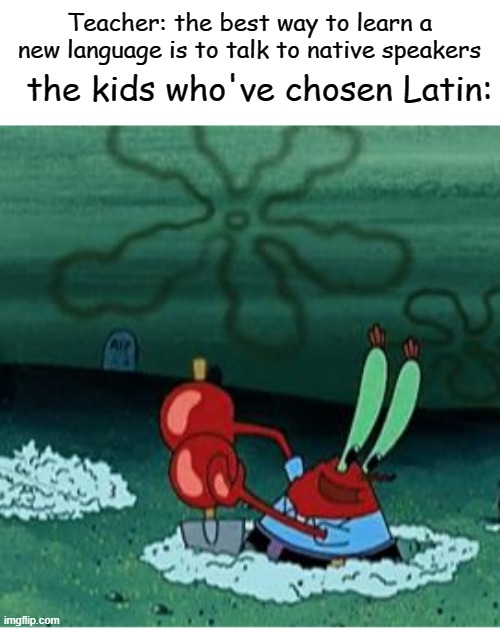 Hi haedos dierum smh | Teacher: the best way to learn a new language is to talk to native speakers; the kids who've chosen Latin: | image tagged in funny,memes,gifs,pie charts,ha ha tags go brr | made w/ Imgflip meme maker