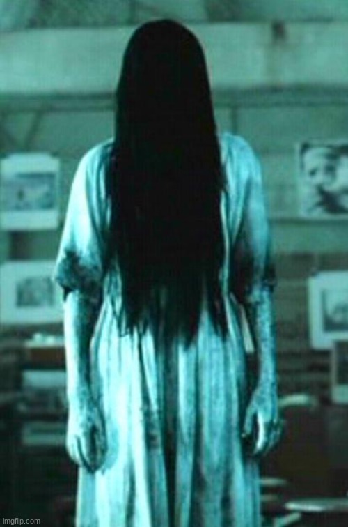 the ring horror | image tagged in the ring horror | made w/ Imgflip meme maker