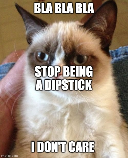 Grumpy Cat | BLA BLA BLA; STOP BEING A DIPSTICK; I DON'T CARE | image tagged in memes,grumpy cat | made w/ Imgflip meme maker