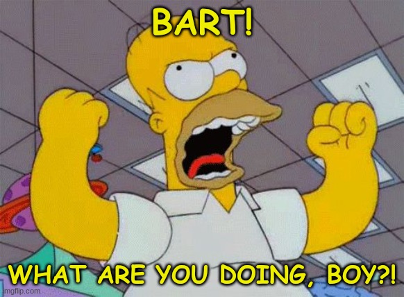 Homer Angry | BART! WHAT ARE YOU DOING, BOY?! | image tagged in homer angry | made w/ Imgflip meme maker