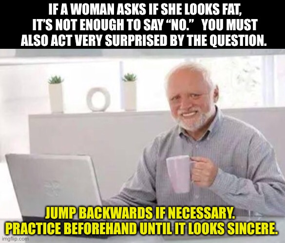 Once you can fake sincerity you’re got it! | IF A WOMAN ASKS IF SHE LOOKS FAT, IT’S NOT ENOUGH TO SAY “NO.”   YOU MUST ALSO ACT VERY SURPRISED BY THE QUESTION. JUMP BACKWARDS IF NECESSARY.  PRACTICE BEFOREHAND UNTIL IT LOOKS SINCERE. | image tagged in harold | made w/ Imgflip meme maker