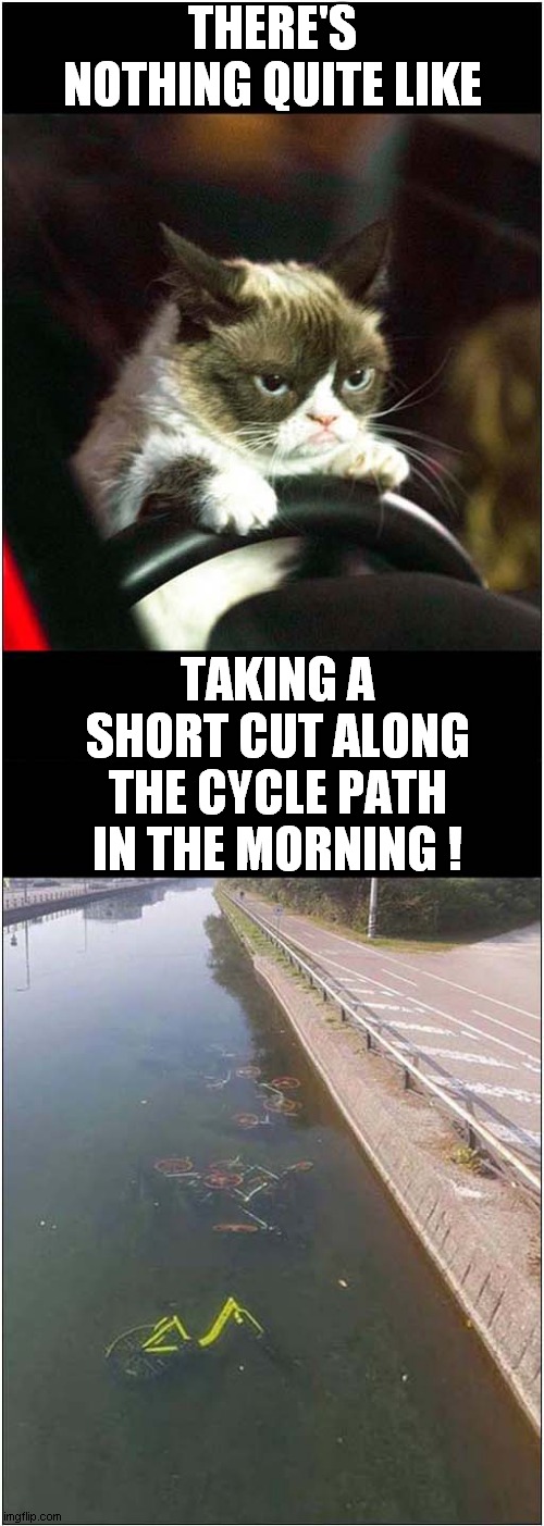 Grumpys Morning Commute | THERE'S NOTHING QUITE LIKE; TAKING A SHORT CUT ALONG THE CYCLE PATH IN THE MORNING ! | image tagged in grumpy cat,cycling,commute,cats | made w/ Imgflip meme maker