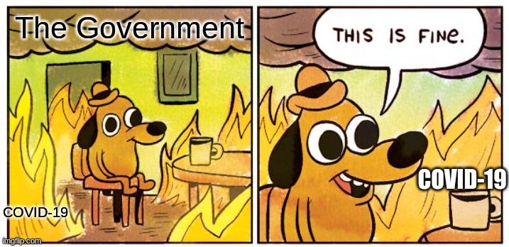 The Government | The Government; COVID-19; COVID-19 | image tagged in memes,this is fine | made w/ Imgflip meme maker