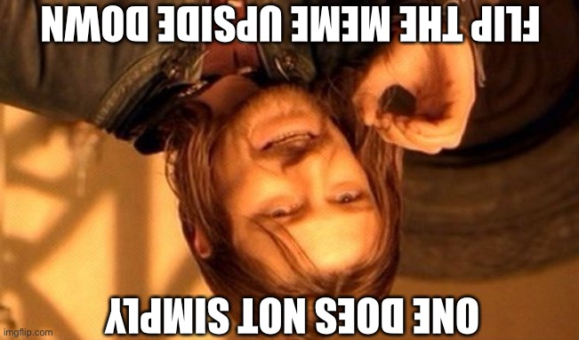 Ouǝ poǝs uoʇ sᴉɯdlʎ | FLIP THE MEME UPSIDE DOWN; ONE DOES NOT SIMPLY | image tagged in memes,one does not simply | made w/ Imgflip meme maker