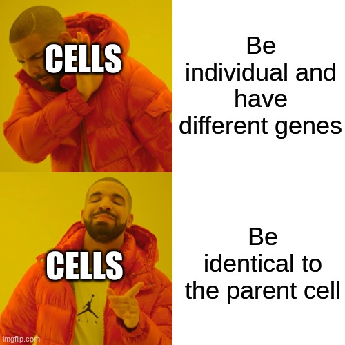 Drake Hotline Bling | Be individual and have different genes; CELLS; Be identical to the parent cell; CELLS | image tagged in memes,drake hotline bling,cell division | made w/ Imgflip meme maker