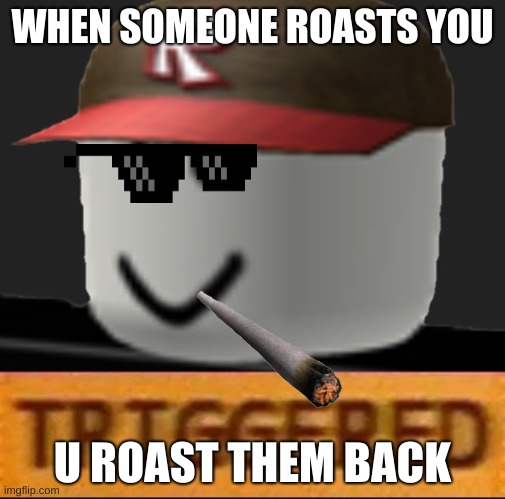 Roblox Triggered | WHEN SOMEONE ROASTS YOU; U ROAST THEM BACK | image tagged in roblox triggered | made w/ Imgflip meme maker