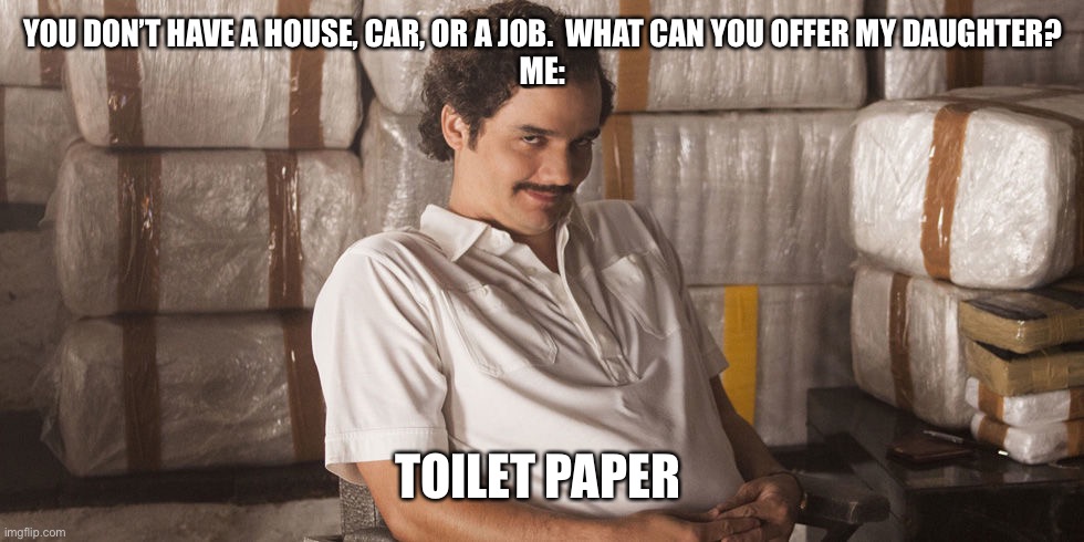 Pablo Escobar  | YOU DON’T HAVE A HOUSE, CAR, OR A JOB.  WHAT CAN YOU OFFER MY DAUGHTER?
ME:; TOILET PAPER | image tagged in pablo escobar | made w/ Imgflip meme maker