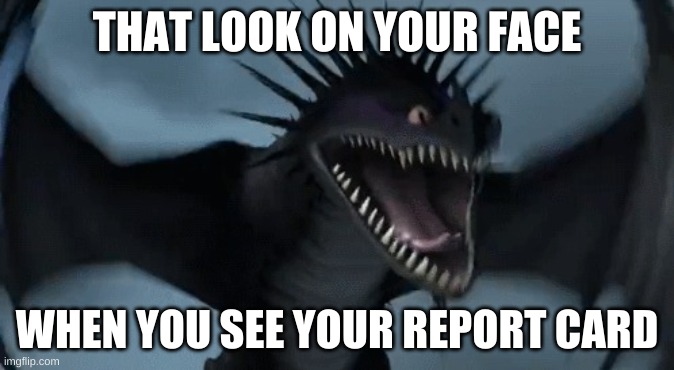 the skrill | THAT LOOK ON YOUR FACE; WHEN YOU SEE YOUR REPORT CARD | image tagged in the skrill | made w/ Imgflip meme maker